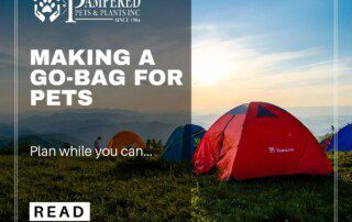 Go bags for pets
