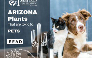 Arizona plants toxic to pets