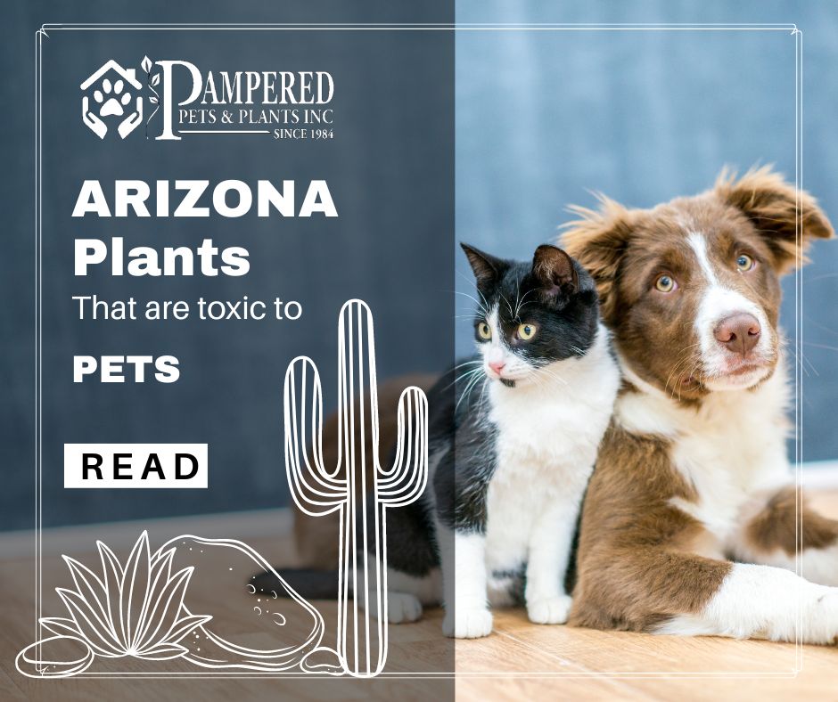 Arizona plants toxic to pets