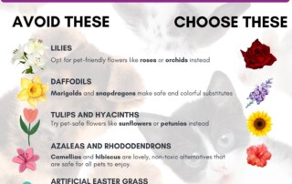 Toxic Easter Plants for Pets