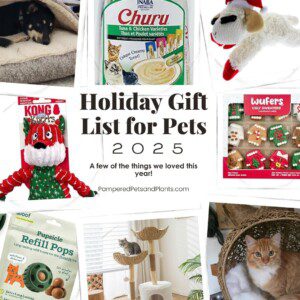 2025 Holiday gift list for pets