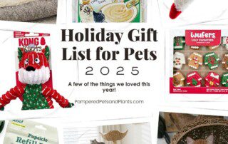 2025 Holiday gift list for pets